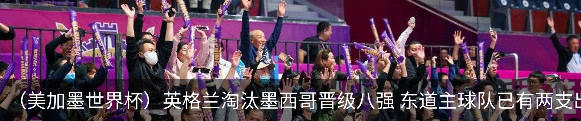 最新动态