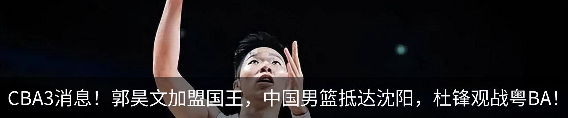 最新动态